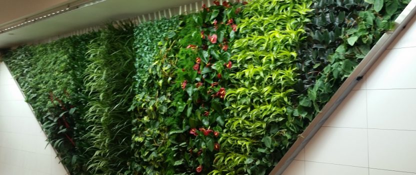 Gorgeous New Green Wall by Green Over Grey uses Sunlite’s Fixtures!