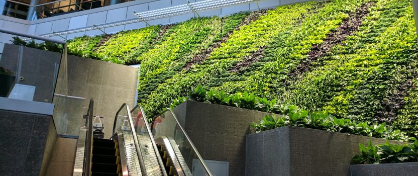 New Green Wall at 1000 Wilson Boulevard