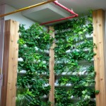 SST Green Wall LED Light