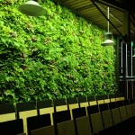 SST ST30 Marvin Hall Forum Greenwall